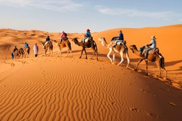 Marrakech Camel Ride Excursions