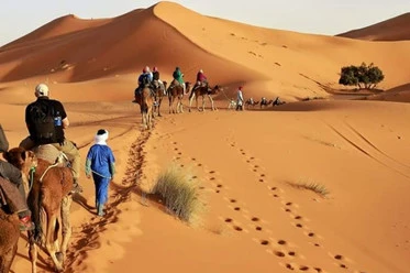 4 days Group tour from Marrakech to Fes via Merzouga desert